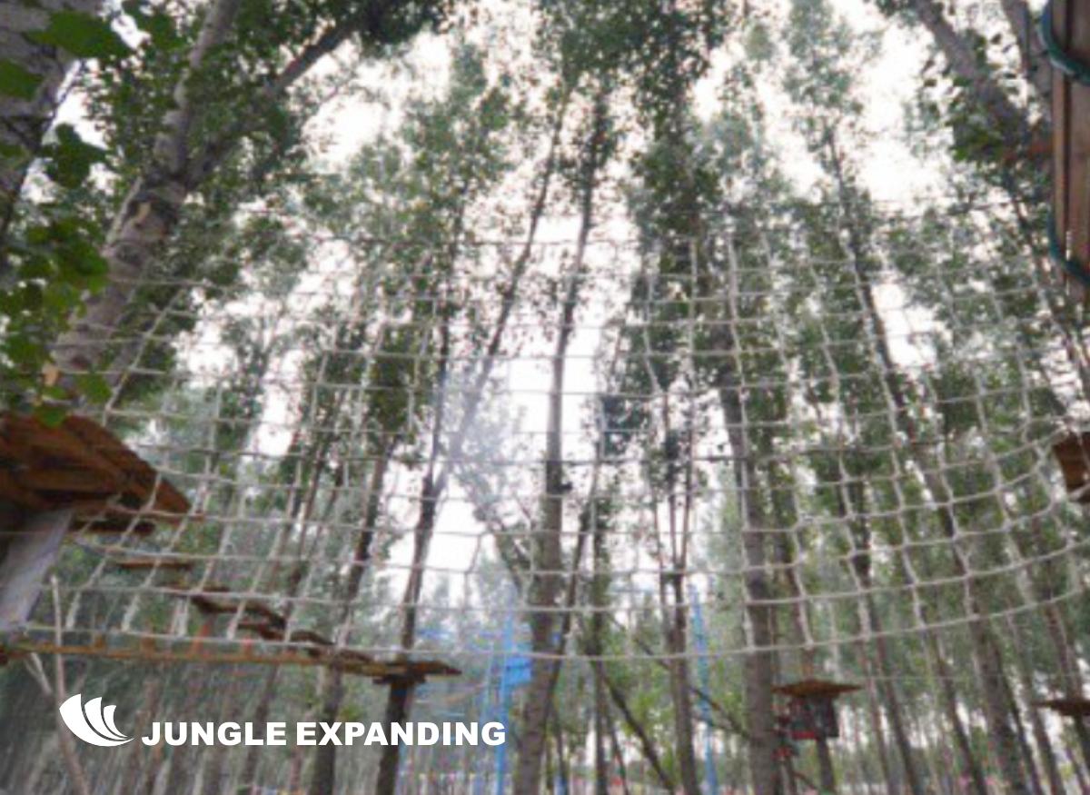 Jungle Expanding